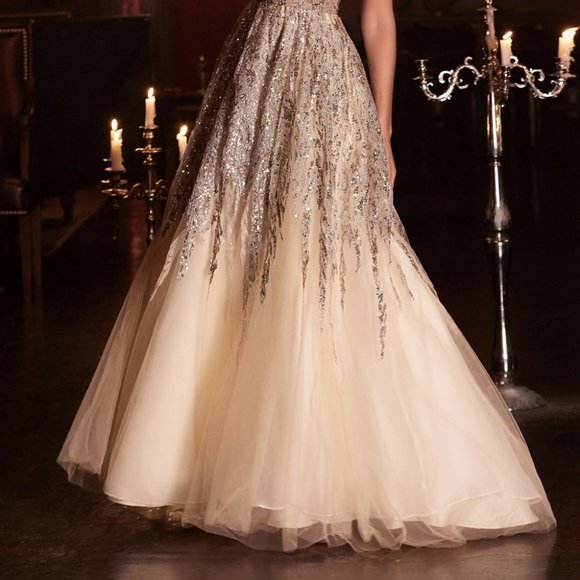 NEW LONG TULLE OFF THE SHOULDER SLEEVELESS A-LINE DRESS WITH ZIPPER BACK CD C135 - Picture 6 of 9